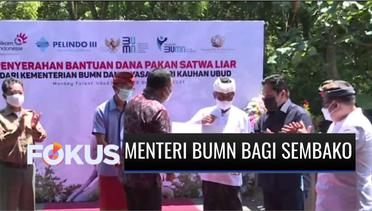 Kementerian BUMN Bagikan Paket Sembako dan Pakan Hewan untuk Warga Bali | Fokus