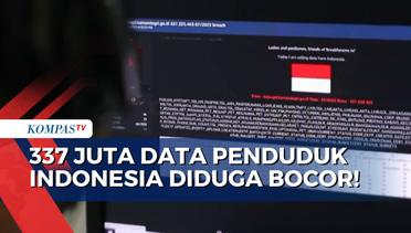 337 Juta Data Penduduk Diduga Bocor, Dukcapil: Data di Forum hacker Beda dengan Database