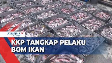 KKP Tangkap 4 Nelayan Pelaku Bom Ikan Di Perairan Morowali