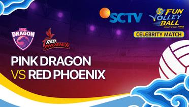 Celebrity Match: Pink Dragon vs Red Phoenix - Fun Volleyball Celebrity Match