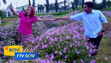 FTV SCTV - Kebun Bunga Bermekar Cinta