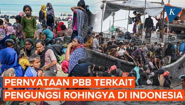 Penolakan terhadap Pengungsi Rohingya di Indonesia Semakin Ramai, Ini Kata PBB