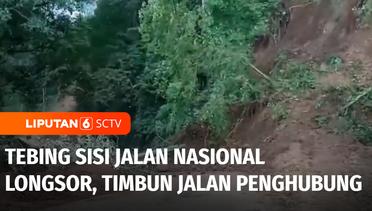Tebing Sisi Jalan Nasional Lumajang-Malang Longsor, Timbun Jalan Penghubung | Liputan 6