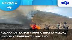 Kebakaran Lahan Gunung Bromo Makin Luas - . - Liputan 6 Pagi | Moji