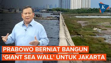 Prabowo Rencanakan Bangun Tanggul Laut Raksasa untuk Lindungi Jakarta