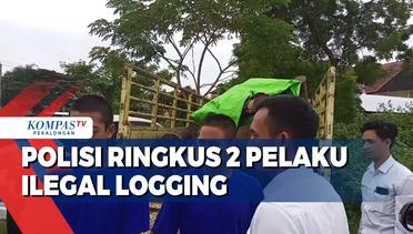Polisi Ringkus Dua Pelaku Illegal Logging