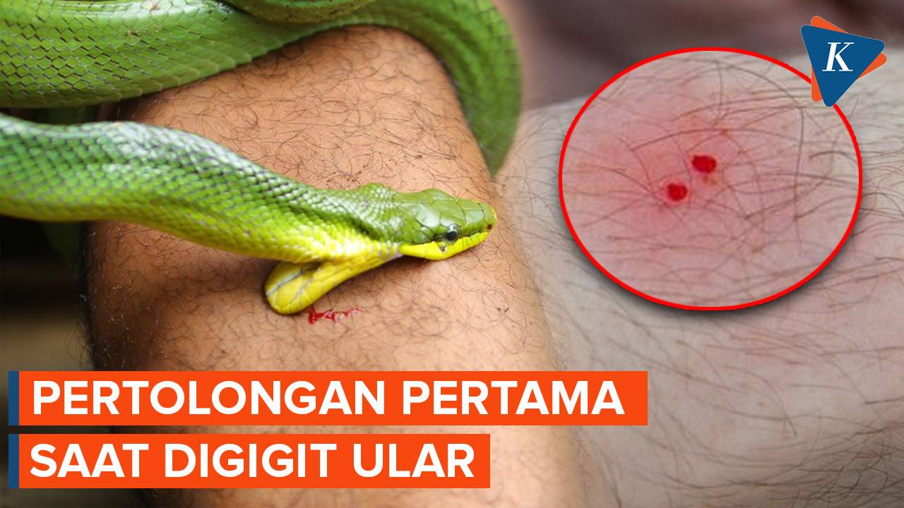 Yalangoch irlandiyalik ayollar fotosuratlari