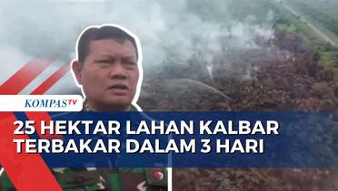 Laksamana TNI Yudo Margono Datangi Lokasi Kebakaran 25 Hektar Lahan di Kalimantan