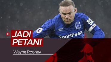 Wayne Rooney Ingin Jadi Petani Setelah Pensiun