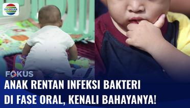 INFUS: Hati-hati! Fase Oral Pada Bayi Berpotensi Sebabkan Infeksi Bakteri | Fokus