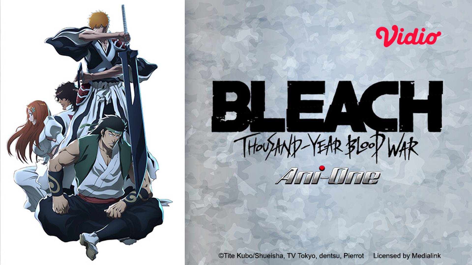 Bleach: Thousand-Year Blood War