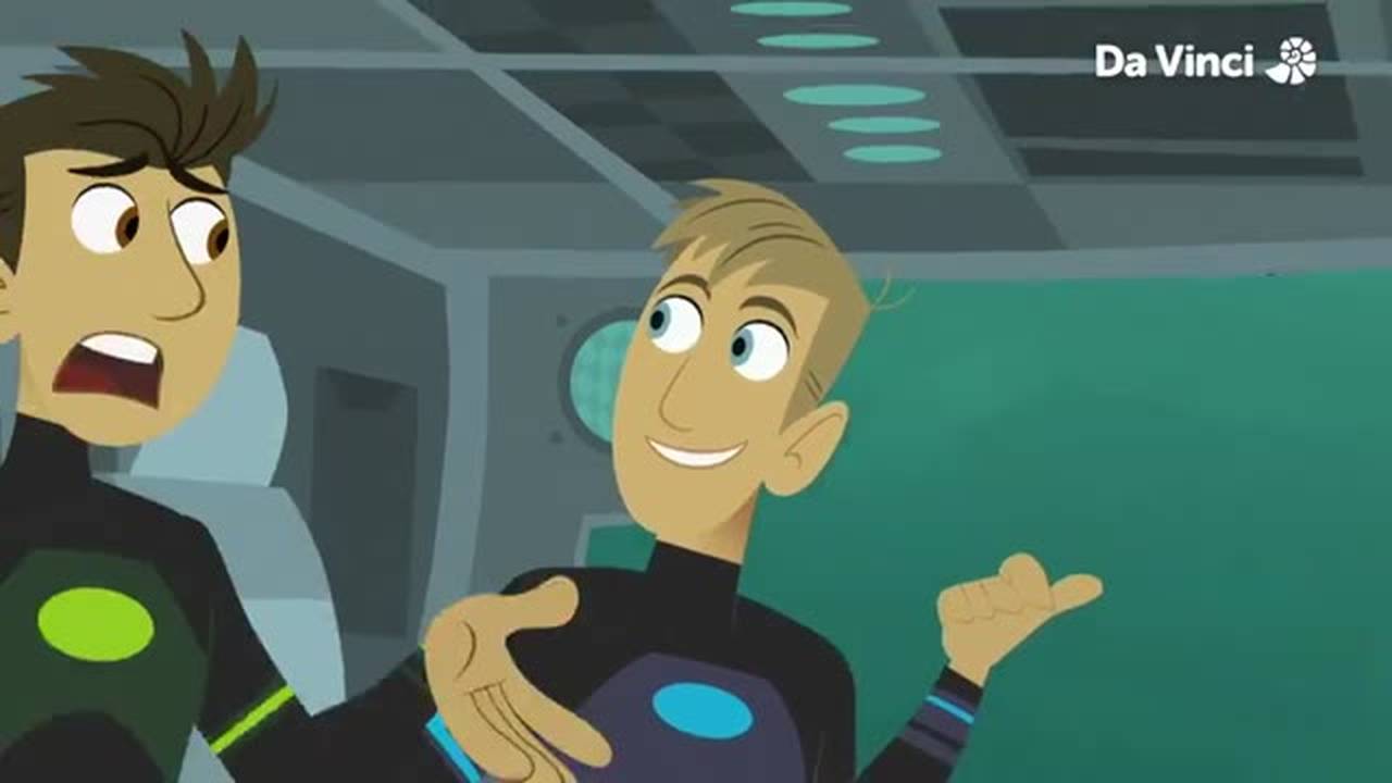 Wild Kratts - Ep 37 - Stuck on Sharks (2022) | Vidio
