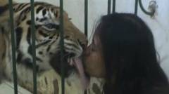 Persahabatan Manusia dengan Harimau