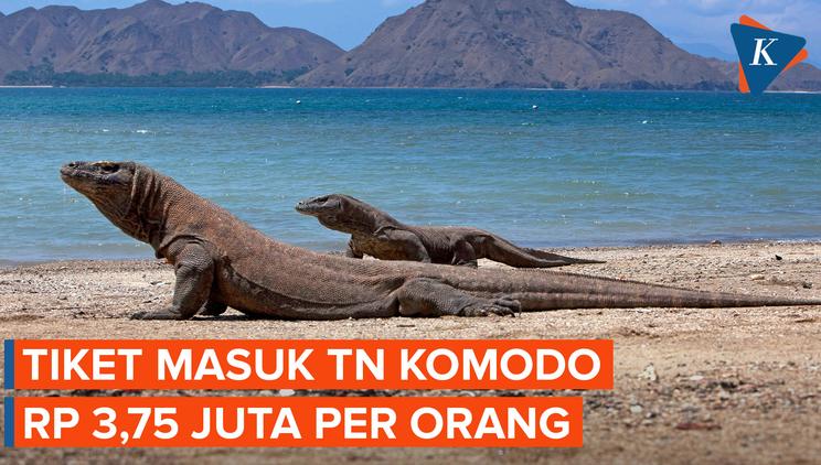 Nonton Video Tiket Masuk Taman Nasional Komodo Rp 3 Terbaru | Vidio