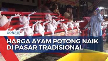 Harga Ayam Potong Naik di Pasar Tradisional