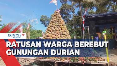 Ratusan Warga Berebut Gunungan Durian di Festival Durian Madiun