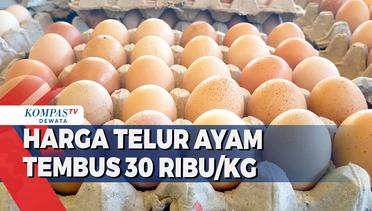Harga Telur Ayam Tembus 30 Ribu/Kg Di Pasar Tradisional