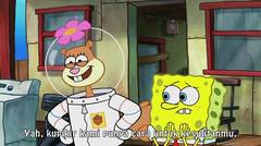 SpongeBob SquarePants S10E01 Whirly Brains - Mermaid Pants