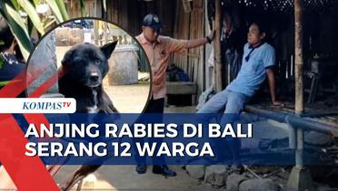 Antisipasi Merebaknya Rabies, Petugas Puskeswan Vaksin Anjing-Anjing di Karangasem