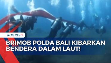 Detik-Detik Puluhan Anggota Brimob Polda Bali Kibarkan Bendera Merah Putih di Dalam Laut!