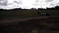 Lomba Tembak AASAM 2016, Tanggal 3 sd 19 Mei 2016, di Puckapunyal Military Range, Victoria, Australi