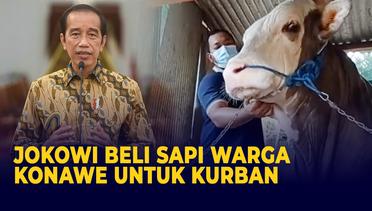 Jelang Iduladha, Jokowi Beli Sapi Kurban Milik Seorang Warga Konawe