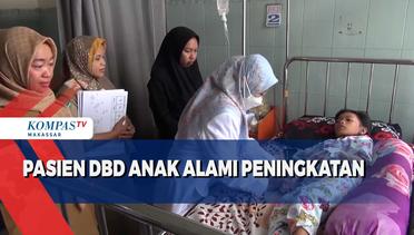 Kasus DBD di Kota Makassar dalam beberapa bulan terakhir terus alami peningkatan
