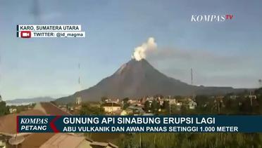 Lagi! Gunung Sinabung Erupsi, Tinggi Awan Panas Capai 1.000 Meter