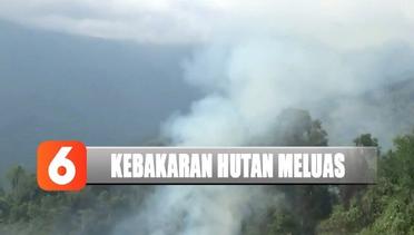 Kebakaran Hutan, Jalan Penghubung Polewali Mandar dan Mamasa Tertutup Kabut Asap - Liputan 6 Terkini