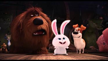 The Secret Life Of Pets - Trailer E (Universal Pictures) [HD]