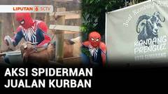 Spiderman Jualan Kurban, Bergelantungan Beri Makan Ternak di Semarang | Liputan 6