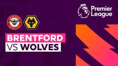 Brentford vs Wolves - Full Match | Premier League 23/24