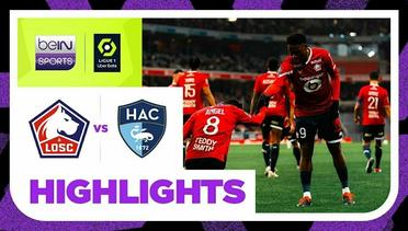 Lille vs Le Harve - Highlights | Ligue 1 2023/2024