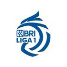 BRI Liga 1 2024/25