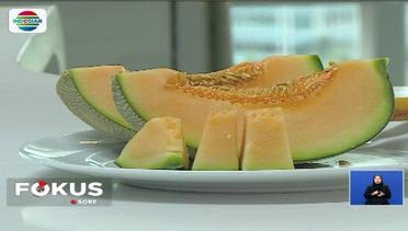 Australia Imbau Warganya Tak Makan Melon - Fokus Sore