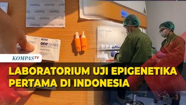 Laboratorium Uji Epigenetika Pertama di Indonesia Beroperasi di Jogja