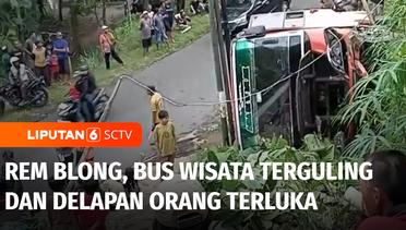 Rem Blong saat Melaju di Turunan, Bus Wisata Terguling Delapan Orang Terluka | Liputan 6