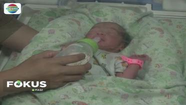 Korban Gempa Palu Melahirkan Bayi Kembar Tiga - Fokus Pagi