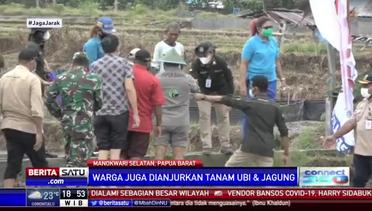 Cara Gubernur Papua Barat Mewujudkan Manokwari Selatan Menjadi Lumbung Pangan
