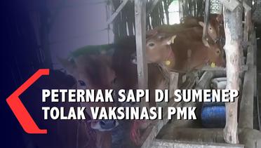 Takut Hewan Ternaknya Justru Mati, Peternak Tolak Vaksinasi PMK di Sumenep