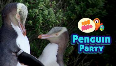 ZooMoo Specials: Penguin Party
