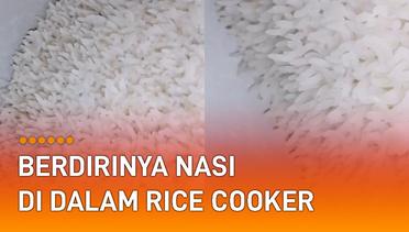 Jarang Terjadi, Nasi Berdiri di Dalam Rice Cooker