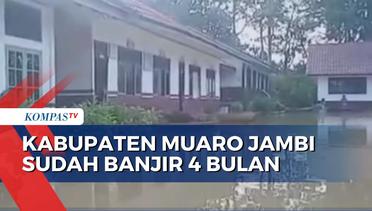 Sudah 4 Bulan Banjir Rendam Ratusan Rumah Warga di Kabupaten Muaro Jambi