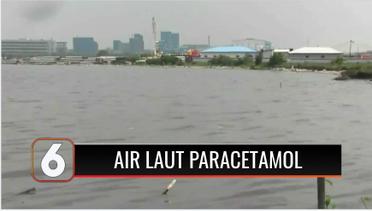 Dinas LH Ambil Sampel Air Laut Menyusul Temuan Teluk Jakarta Tercemar Paracetamol | Liputan 6