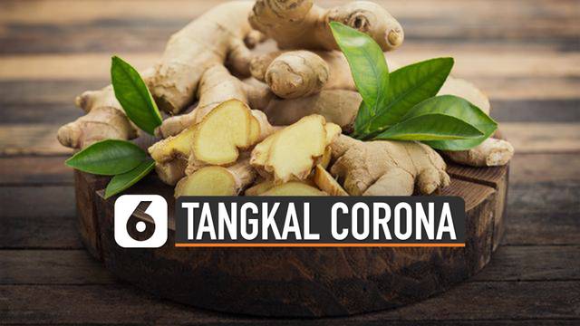 Khasiat Rempah-Rempah Asli Indonesia Bisa Tangkal Virus Corona