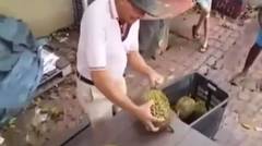 Cara Kakek Buka Durian