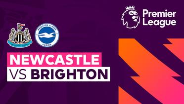 Newcastle vs Brighton - Full Match | Premier League 23/24