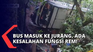 Hasil Olah TKP Bus Rombongan Semarang Terjun ke Jurang, Polisi Temukan Adanya Dugaan Rem Blong!