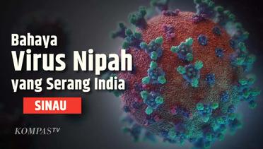 Geger Virus Nipah di India Bisa Jadi Pandemi, Kenali Gejalanya | SINAU