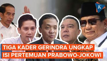 Gerindra Bongkar Isi Pembicaraan Prabowo-Jokowi di Bogor
